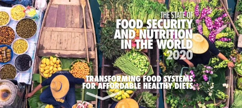”Starea securității alimentare și a nutriției în lume”