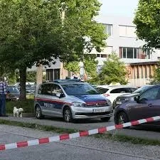 MAE anunță că doi români au fost răniți în atacul de la școala din Austria