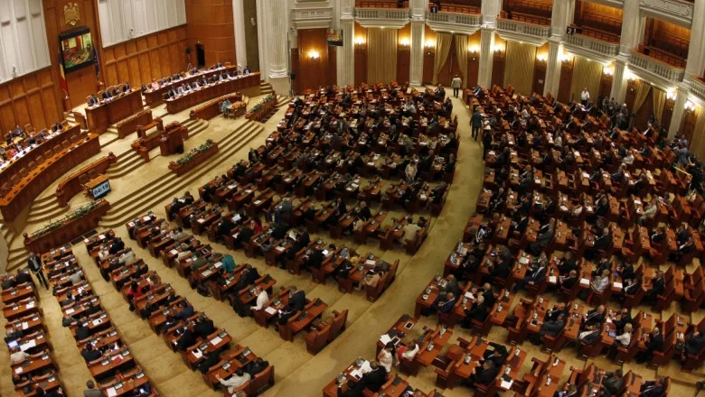 Șefa ANAF a fost chemată în Parlament