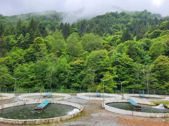 53 de milioane de euro pentru dezvoltarea sectorului acvaculturii și procesării produselor pescărești!