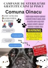 Campanie de sterilizare GRATUITĂ a animalelor de companie, într-o comună din Giurgiu