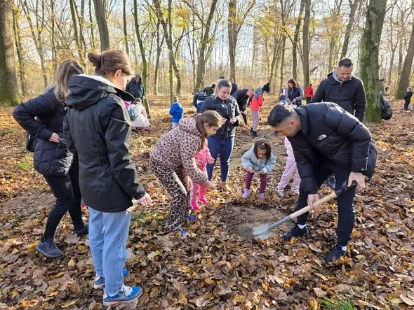 Noi acțiuni de plantare în Bihor  în weekend