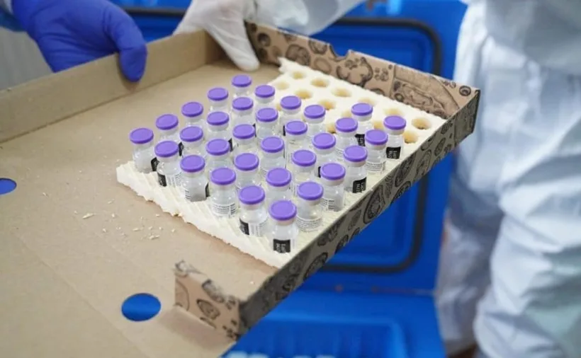 Ialomiţa: dozele de vaccin anti-COVID au fost livrate în cutii de pizza