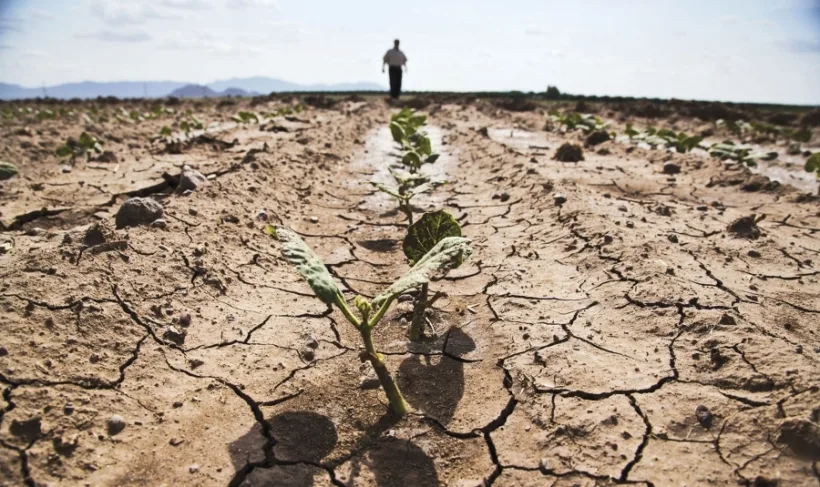 Ministerul Agriculturii continuă să facă bilanțul secetei. Galațiul, printre cele mai afectate județe
