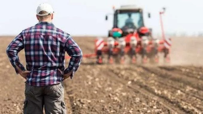 Fermierii români sunt îndemnați să ceară ajutorul angajaților APIA pentru întocmirea cererilor de plată pentru campania anului 2024
