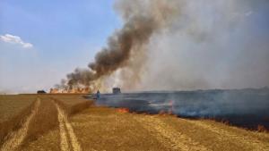 Incendiu de proporții la marginea Galațiului. A ars un lan de gr&acirc;u