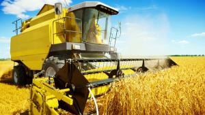 Rom&acirc;nia, pe primul loc &icirc;n Uniunea Europeană la exportul de cereale