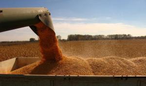 MADR: A &icirc;nceput autorizarea plăților Ajutoarelor Naționale Tranzitorii aferente sectorului vegetal