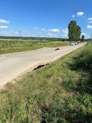 Stimați participanți la trafic, din județul Gorj