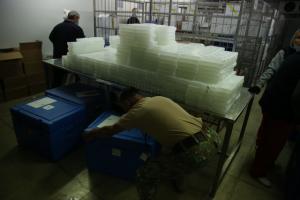 Rom&acirc;nia sprijină Egiptul &icirc;n combaterea pandemiei de COVID-19