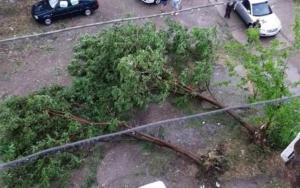 Vremea rea a făcut prăpăd &icirc;n 37 de localități: locuințe inundate, acoperișuri smulse și zeci de copaci căzuți