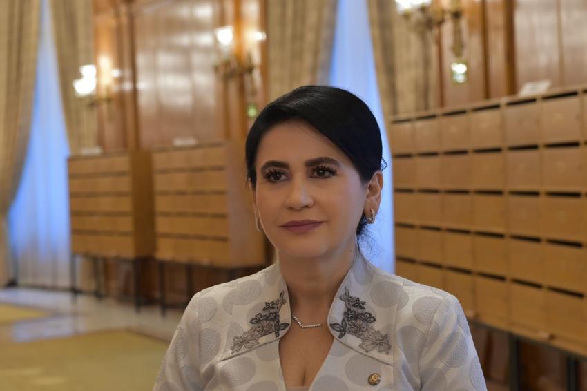 Viorica Sandu, despre programul &bdquo;Sprijin pentru Rom&acirc;nia&rdquo;: prioritatea PSD răm&acirc;ne combaterea scumpirilor