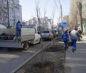 O nouă campanie pentru plantări de arbori a &icirc;nceput &icirc;n municipiul Galați