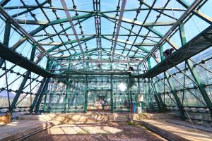 Seră de plante exotice spectaculoasă, la Galați. Costel Fotea: &Icirc;n interior, va exista un lift care va urca p&acirc;nă la aproape 20 de metri