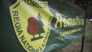 O decizie prin care se retrocedau 43.227 de hectare de păduri a fost anulată