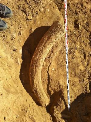 Descoperire unicat, din preistorie, &icirc;n Buzăul de azi