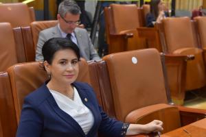 Deputatul Viorica Sandu: &bdquo;Există resurse bugetare pentru măsurile sociale propuse de PSD&rdquo;