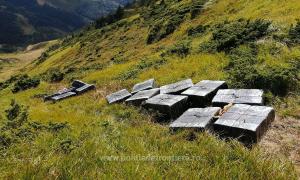 Contrabandă la 1.930 metri altitudine, &icirc;n Munții Maramureșului