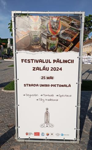 Prima ediţie a Festivalului Pălincii