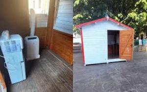 Administrația Tg.Jiu, implicată &icirc;n ameliorarea efectelor caniculei &icirc;n municipiu