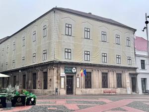 A &icirc;nceput reabilitarea Bibliotecii Județene din Timiș