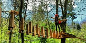 Parc de aventură spectaculos &icirc;n Pădurea G&acirc;rboavele din Galați
