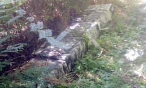 Mii de pachete de țigări de contrabandă ascunse &icirc;n vegetaţia de la malul Prutului