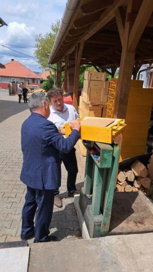 Ziua Mondială a Albinelor!