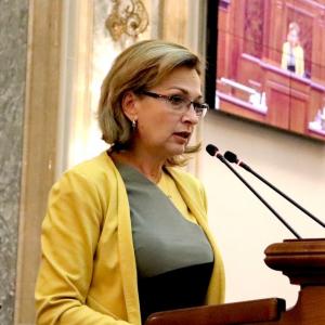 Laura Georgescu: Problemele majore cu care se confruntă rom&acirc;nii nu se reflectă nicicum &icirc;n Programul de Guvernare al PNL!
