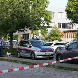 MAE anunță că doi rom&acirc;ni au fost răniți &icirc;n atacul de la școala din Austria