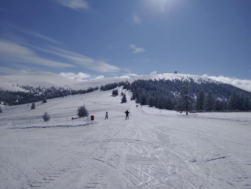 17 intervenţii ale Serviciului Public Judeţean SALVAMONT - SALVASPEO Alba