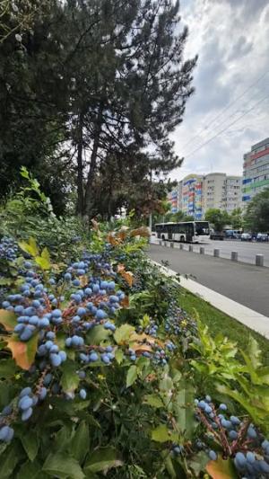 O nouă săptăm&acirc;nă, noi provocări