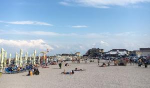 Distracție cu droguri pe plajă, &icirc;n Vama Veche. 15 persoane, reținute de polițiști