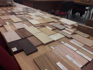 Singura xilotecă din Rom&acirc;nia este la Brașov