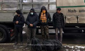 42 de migranţi din Afganistan şi Pakistan, prinşi c&acirc;nd &icirc;ncercau să treacă ilegal frontiera