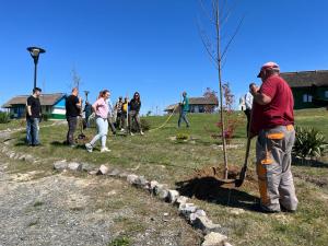 250 de arbori au fost plantați la Satul Pescăresc