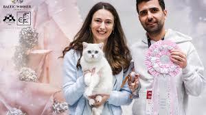 &bdquo;Iubire și bine pentru animale&rdquo; &icirc;n sectorul 1