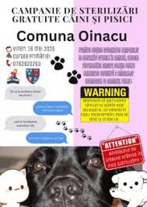 Campanie de sterilizare GRATUITĂ a animalelor de companie, &icirc;ntr-o comună din Giurgiu