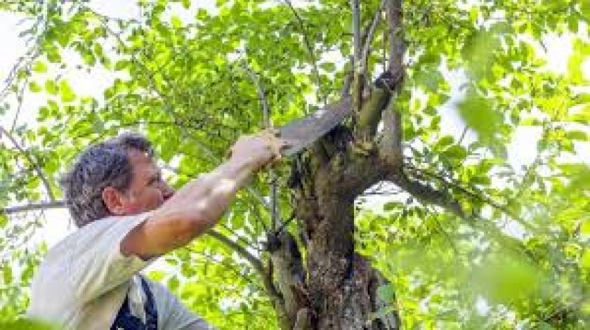 Lucrările de pe domeniul public,  supervizate de beneficiarii din Sectorul 1