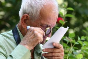 PSD pregătește o campanie de str&acirc;ngere de semnături de la pensionari:  &bdquo;&Icirc;i &icirc;ntrebăm cum pot să trăiască cu pensia actuală&rdquo;