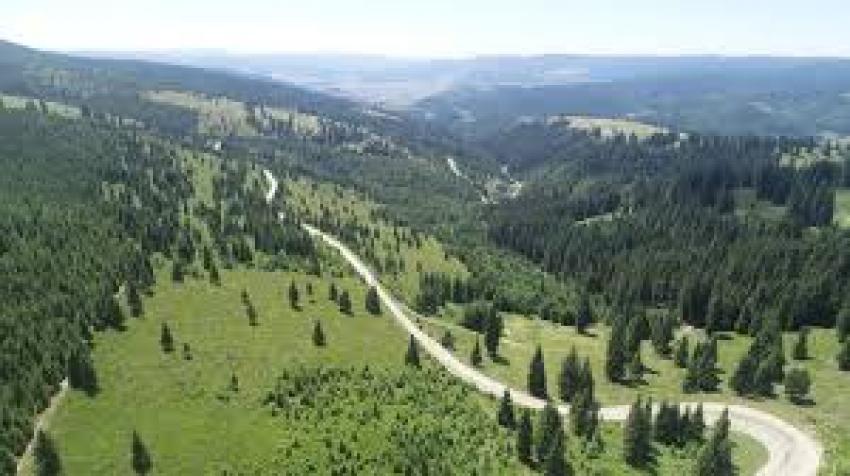 Modernizarea drumului județean Bilbor &ndash;DJ 174C, etapa a II-a