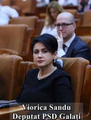 Deputatul Viorica Sandu: Politica financiar-fiscală și programele de &icirc;ncurajare și sprijin a investitorilor străini dau roade