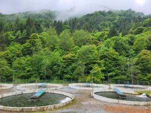 53 de milioane de euro pentru dezvoltarea sectorului acvaculturii și procesării produselor pescărești!