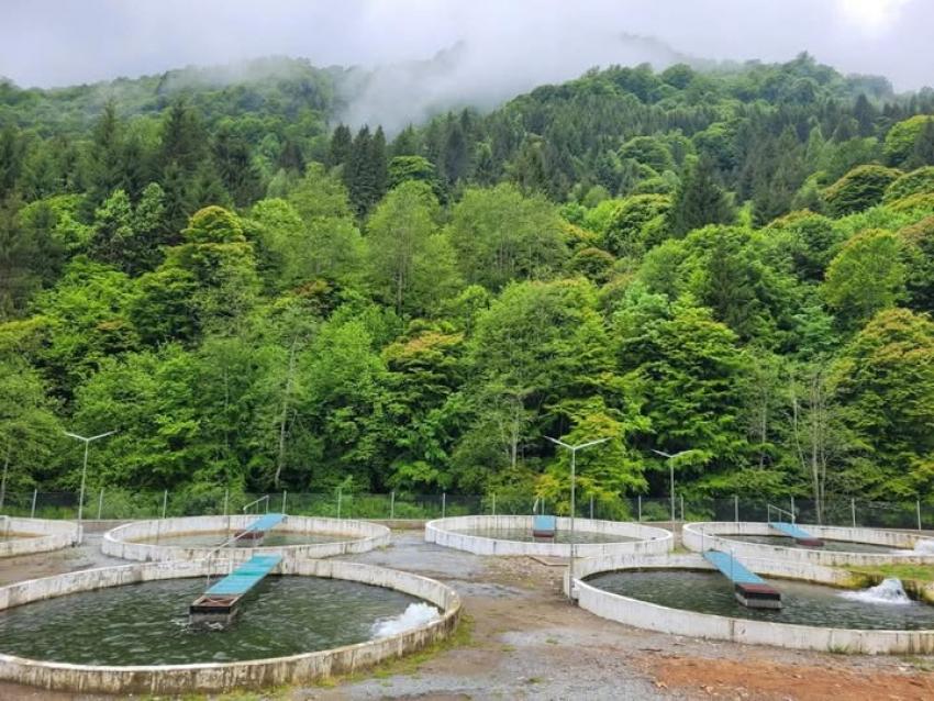 53 de milioane de euro pentru dezvoltarea sectorului acvaculturii și procesării produselor pescărești!