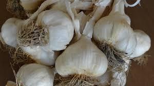 Ministerul Agriculturii: programul de susținere a producției de usturoi va fi suplimentat cu 2 milioane de euro