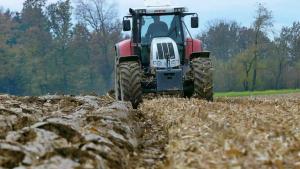 Agricultura rom&acirc;nească primește sprijin financiar de la UE la &icirc;nceput de an