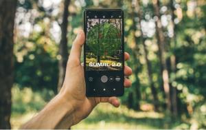 Programul care monitorizează transporturile de lemn din Rom&acirc;nia va fi ajutat de inteligența artificială