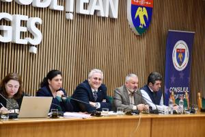 Stadiul proiectelor finanțate prin POR Sud-Muntenia &icirc;n Argeș