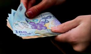 INS anunță că rata șomajului a crescut &icirc;n luna februarie &icirc;n Rom&acirc;nia