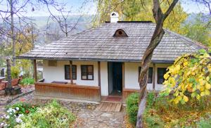 Scandalul iscat de restaurarea bojdeucii lui Ion Creangă din Iași ajunge &icirc;n Parlament